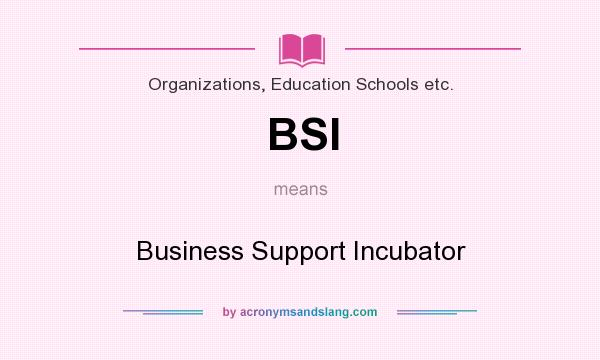 What does BSI mean? It stands for Business Support Incubator