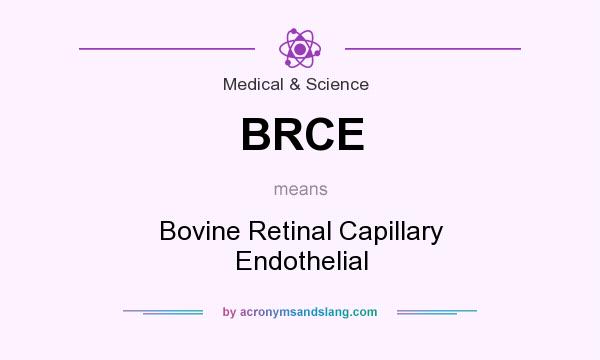 What does BRCE mean? It stands for Bovine Retinal Capillary Endothelial