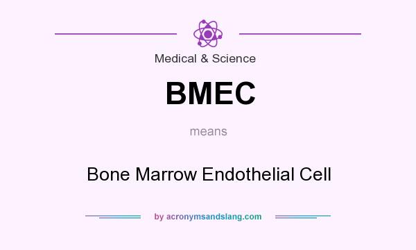 What does BMEC mean? It stands for Bone Marrow Endothelial Cell