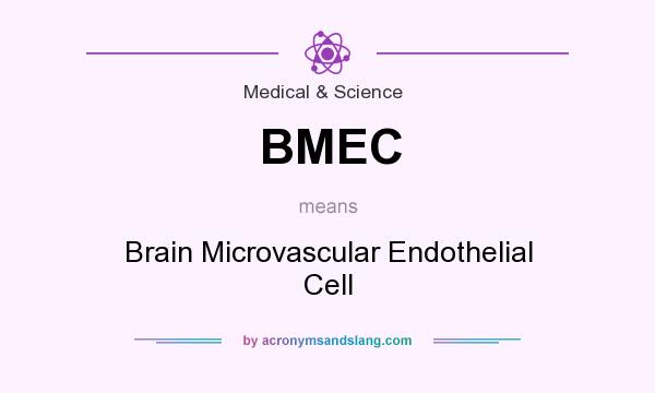 What does BMEC mean? It stands for Brain Microvascular Endothelial Cell