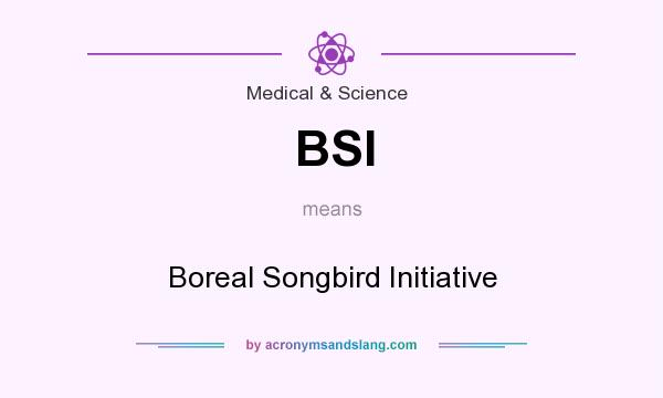 What does BSI mean? It stands for Boreal Songbird Initiative