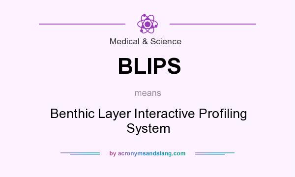 What does BLIPS mean? It stands for Benthic Layer Interactive Profiling System