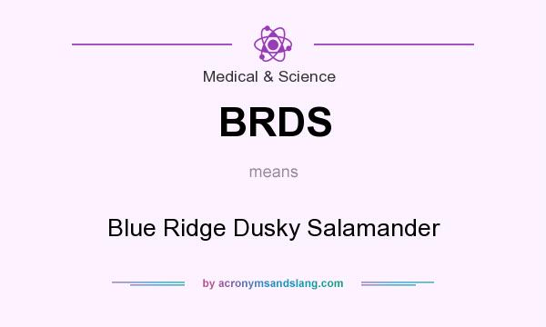 What does BRDS mean? It stands for Blue Ridge Dusky Salamander