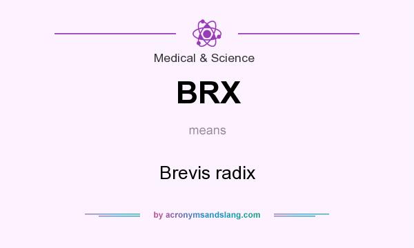 What does BRX mean? It stands for Brevis radix
