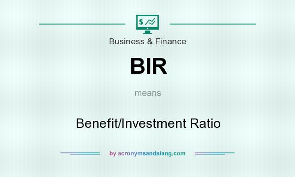 What does BIR mean? It stands for Benefit/Investment Ratio