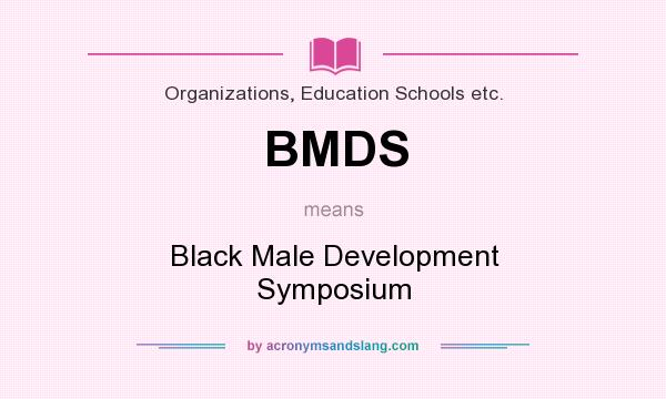 What does BMDS mean? It stands for Black Male Development Symposium