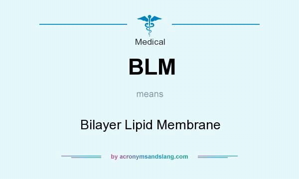 What does BLM mean? It stands for Bilayer Lipid Membrane