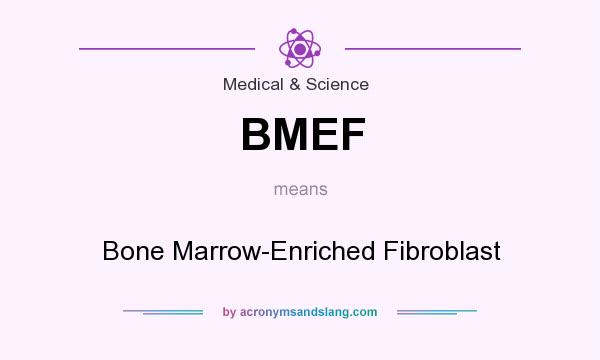 What does BMEF mean? It stands for Bone Marrow-Enriched Fibroblast