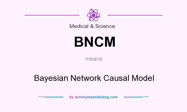 What does BNCM mean? It stands for Bayesian Network Causal Model