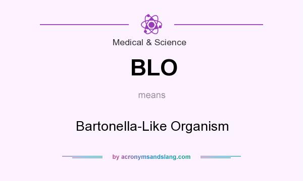 What does BLO mean? It stands for Bartonella-Like Organism