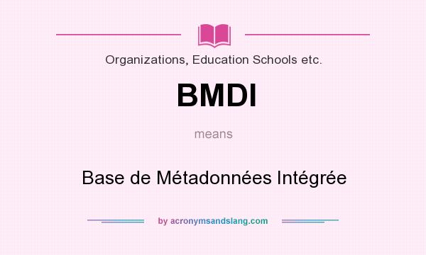 What does BMDI mean? It stands for Base de Métadonnées Intégrée