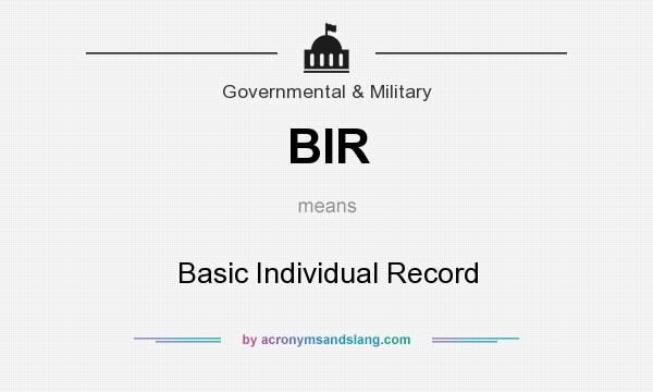 What does BIR mean? It stands for Basic Individual Record