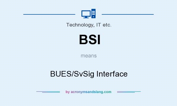 What does BSI mean? It stands for BUES/SvSig Interface