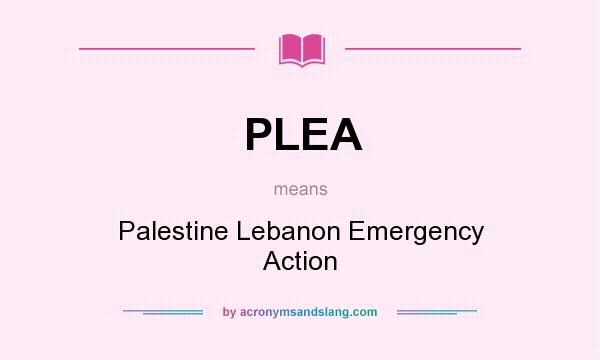 What does PLEA mean? It stands for Palestine Lebanon Emergency Action