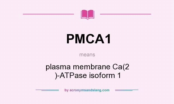 What does PMCA1 mean? It stands for plasma membrane Ca(2 )-ATPase isoform 1