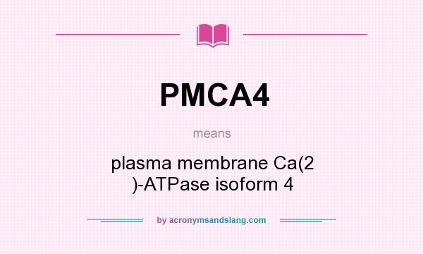 What does PMCA4 mean? It stands for plasma membrane Ca(2 )-ATPase isoform 4