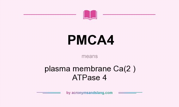 What does PMCA4 mean? It stands for plasma membrane Ca(2 ) ATPase 4
