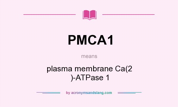 What does PMCA1 mean? It stands for plasma membrane Ca(2 )-ATPase 1