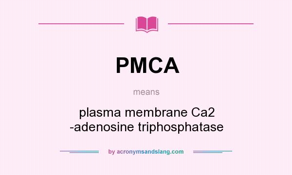 What does PMCA mean? It stands for plasma membrane Ca2 -adenosine triphosphatase