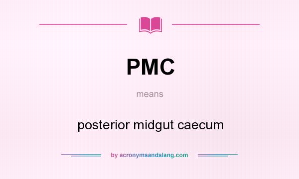 What does PMC mean? It stands for posterior midgut caecum