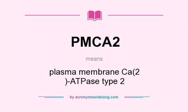 What does PMCA2 mean? It stands for plasma membrane Ca(2 )-ATPase type 2