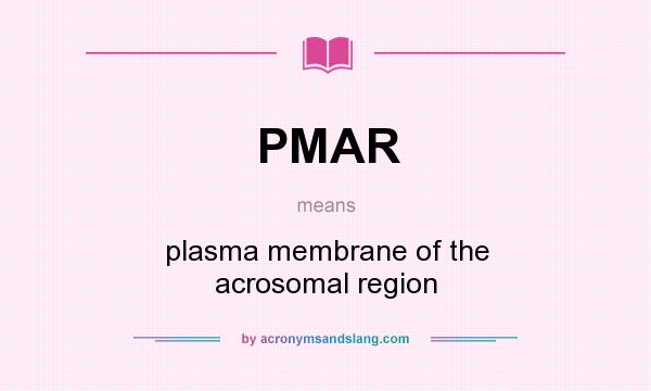 What does PMAR mean? It stands for plasma membrane of the acrosomal region