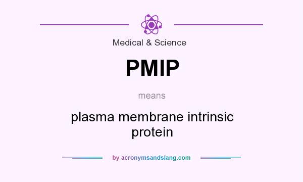 What does PMIP mean? It stands for plasma membrane intrinsic protein