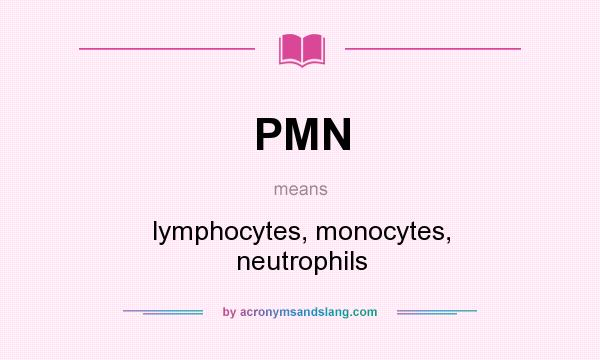 What does PMN mean? It stands for lymphocytes, monocytes, neutrophils