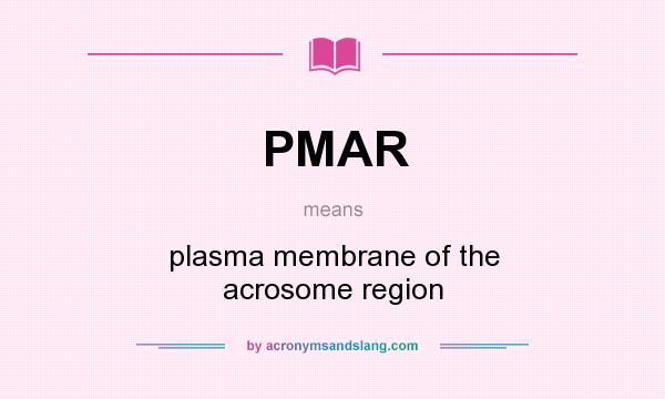 What does PMAR mean? It stands for plasma membrane of the acrosome region