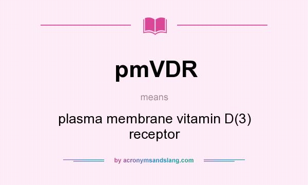 What does pmVDR mean? It stands for plasma membrane vitamin D(3) receptor