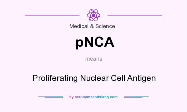 What does pNCA mean? It stands for Proliferating Nuclear Cell Antigen