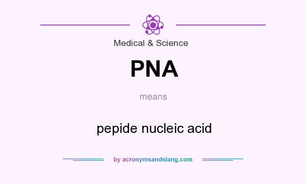 What does PNA mean? It stands for pepide nucleic acid