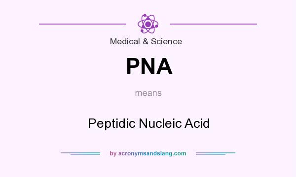 What does PNA mean? It stands for Peptidic Nucleic Acid