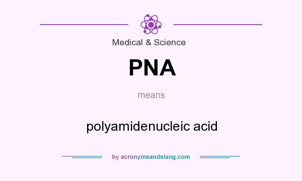 What does PNA mean? It stands for polyamidenucleic acid