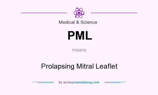 What does PML mean? It stands for Prolapsing Mitral Leaflet