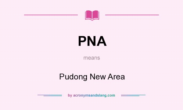 What does PNA mean? It stands for Pudong New Area