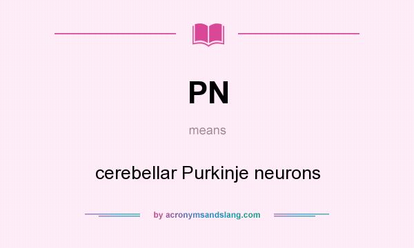 What does PN mean? It stands for cerebellar Purkinje neurons