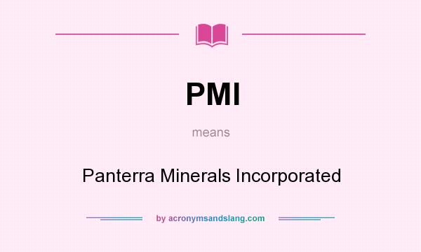 What does PMI mean? It stands for Panterra Minerals Incorporated