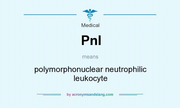 What does Pnl mean? It stands for polymorphonuclear neutrophilic leukocyte