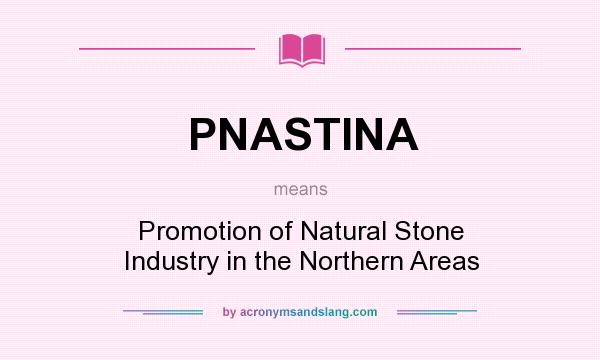 What does PNASTINA mean? It stands for Promotion of Natural Stone Industry in the Northern Areas