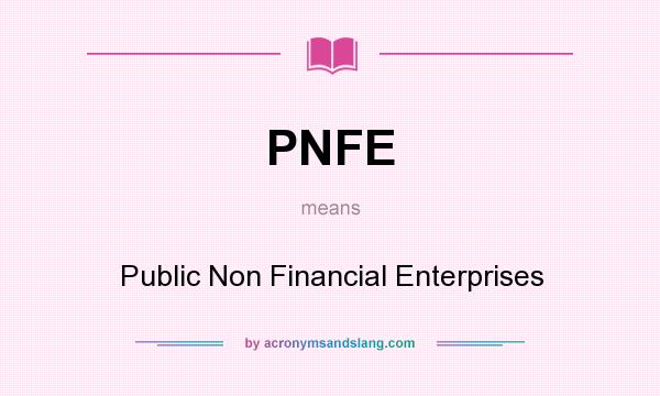 What does PNFE mean? It stands for Public Non Financial Enterprises