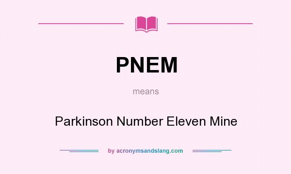What does PNEM mean? It stands for Parkinson Number Eleven Mine