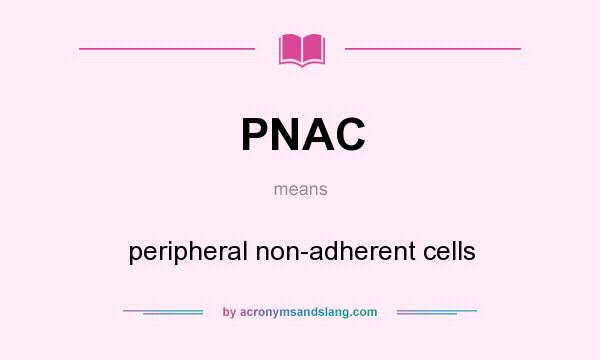What does PNAC mean? It stands for peripheral non-adherent cells