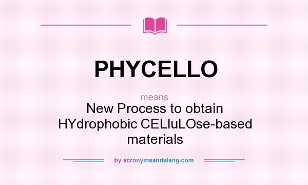 What does PHYCELLO mean? It stands for New Process to obtain HYdrophobic CELluLOse-based materials