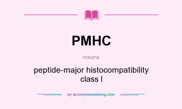 What does PMHC mean? It stands for peptide-major histocompatibility class I
