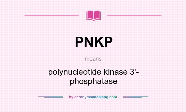 What does PNKP mean? It stands for polynucleotide kinase 3`- phosphatase