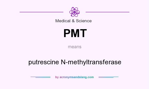 What does PMT mean? It stands for putrescine N-methyltransferase