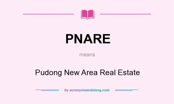 What does PNARE mean? It stands for Pudong New Area Real Estate