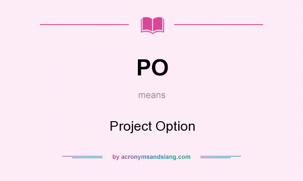What does PO mean? It stands for Project Option