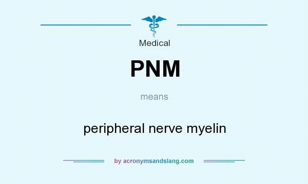 What does PNM mean? It stands for peripheral nerve myelin
